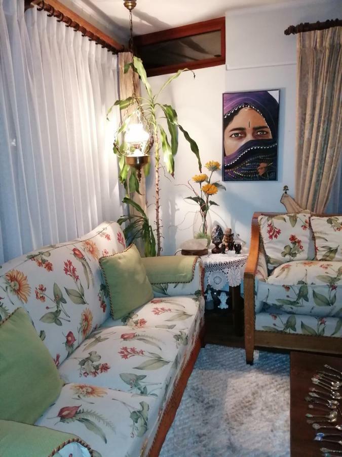 Posada Selva Negra Темуко Екстериор снимка